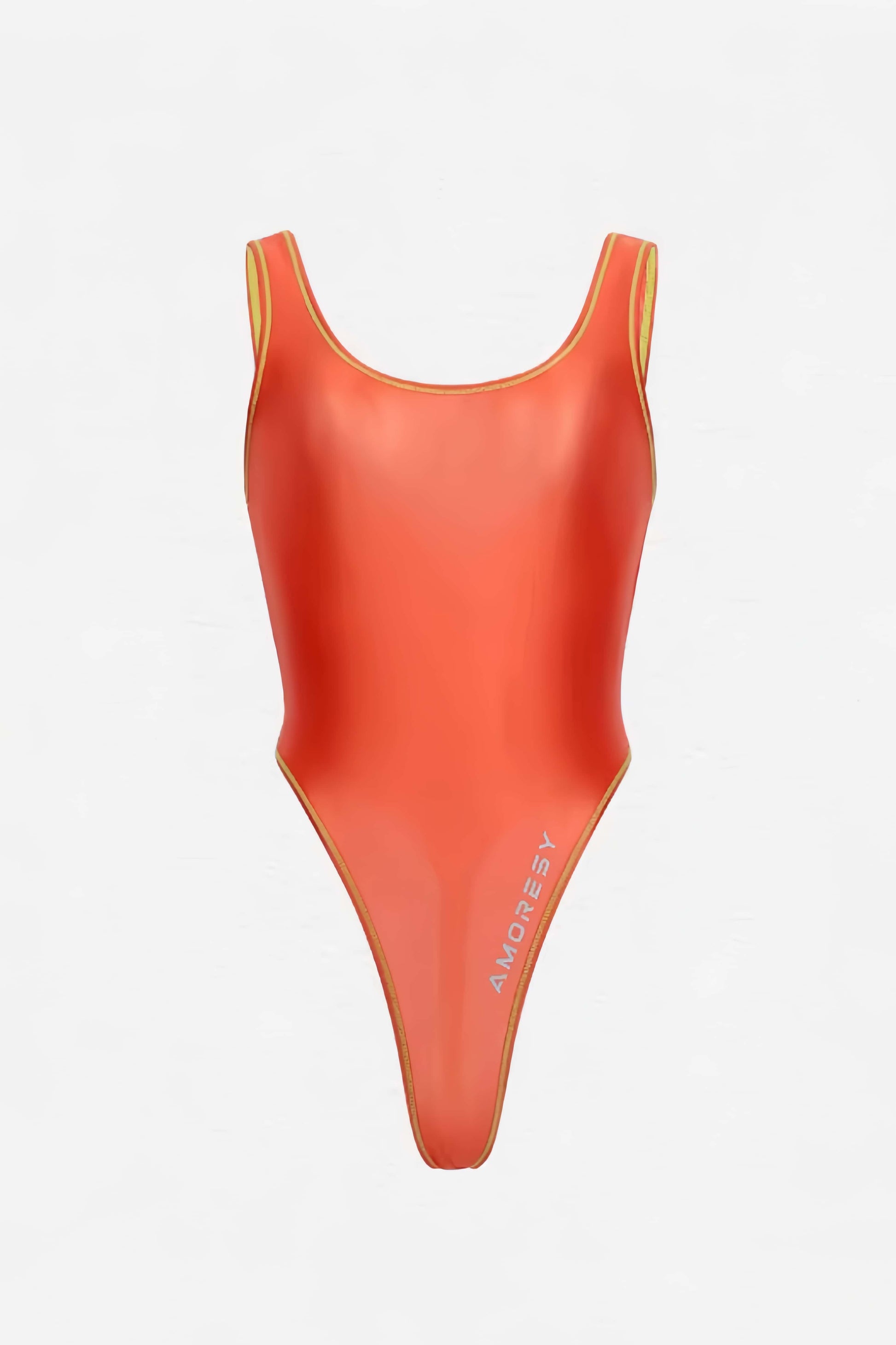 AMORESY Tempest Sheer Super High-Leg Thong Swimsuit Leotard