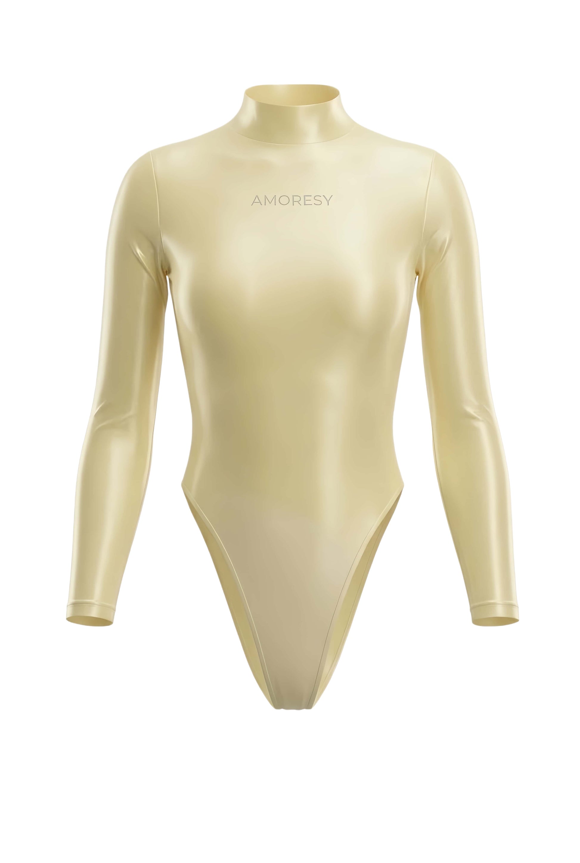 AMORESY Elektra Sheer High-Leg Swimsuit Leotard