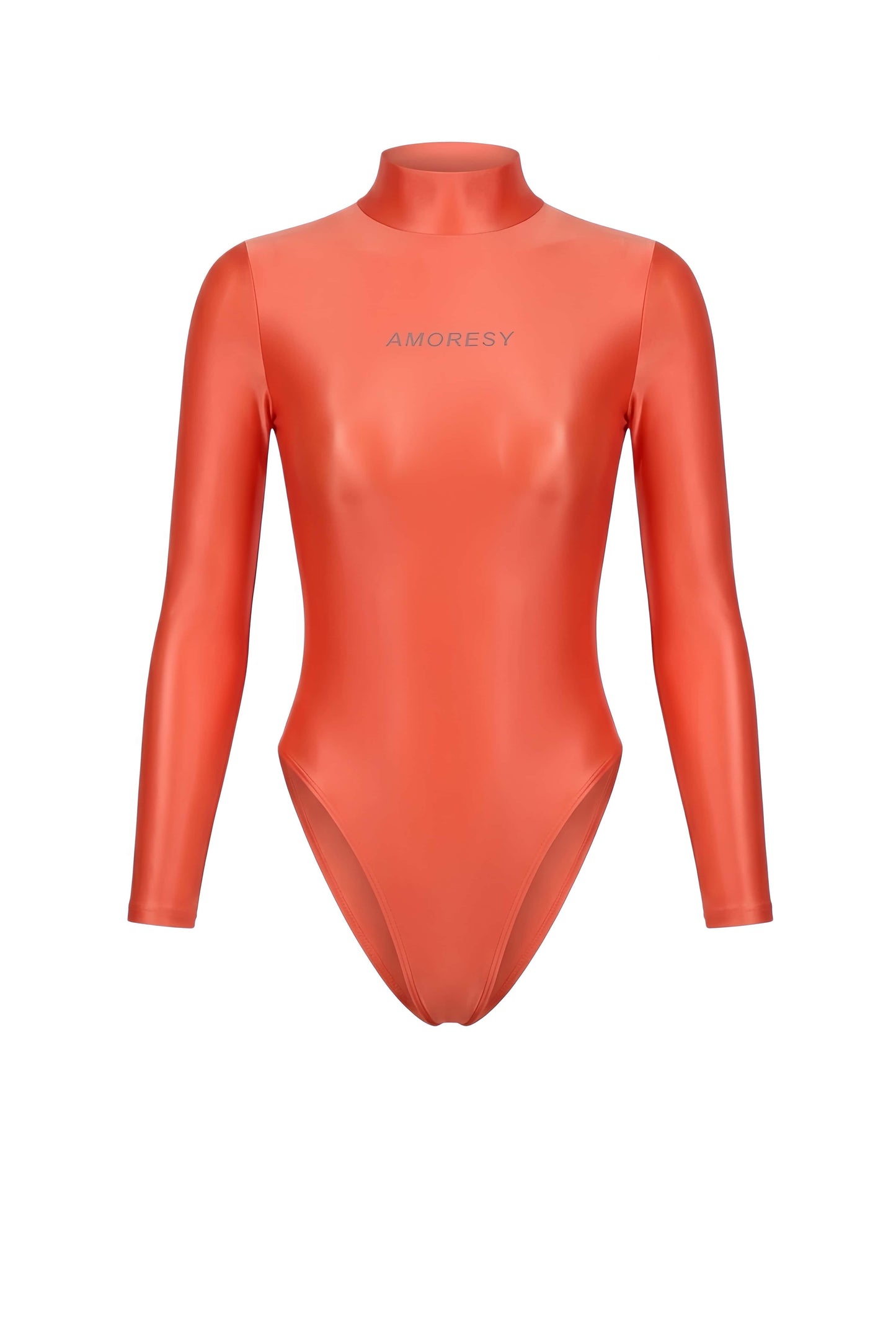 AMORESY Elektra Sheer High-Leg Swimsuit Leotard