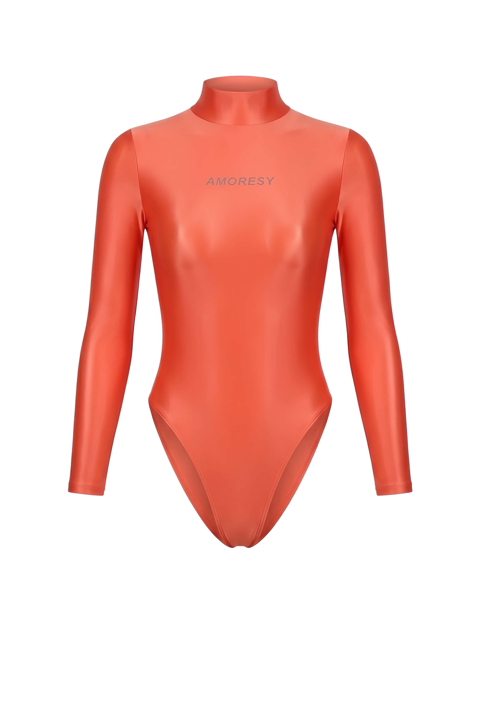 AMORESY Elektra Sheer High-Leg Swimsuit Leotard