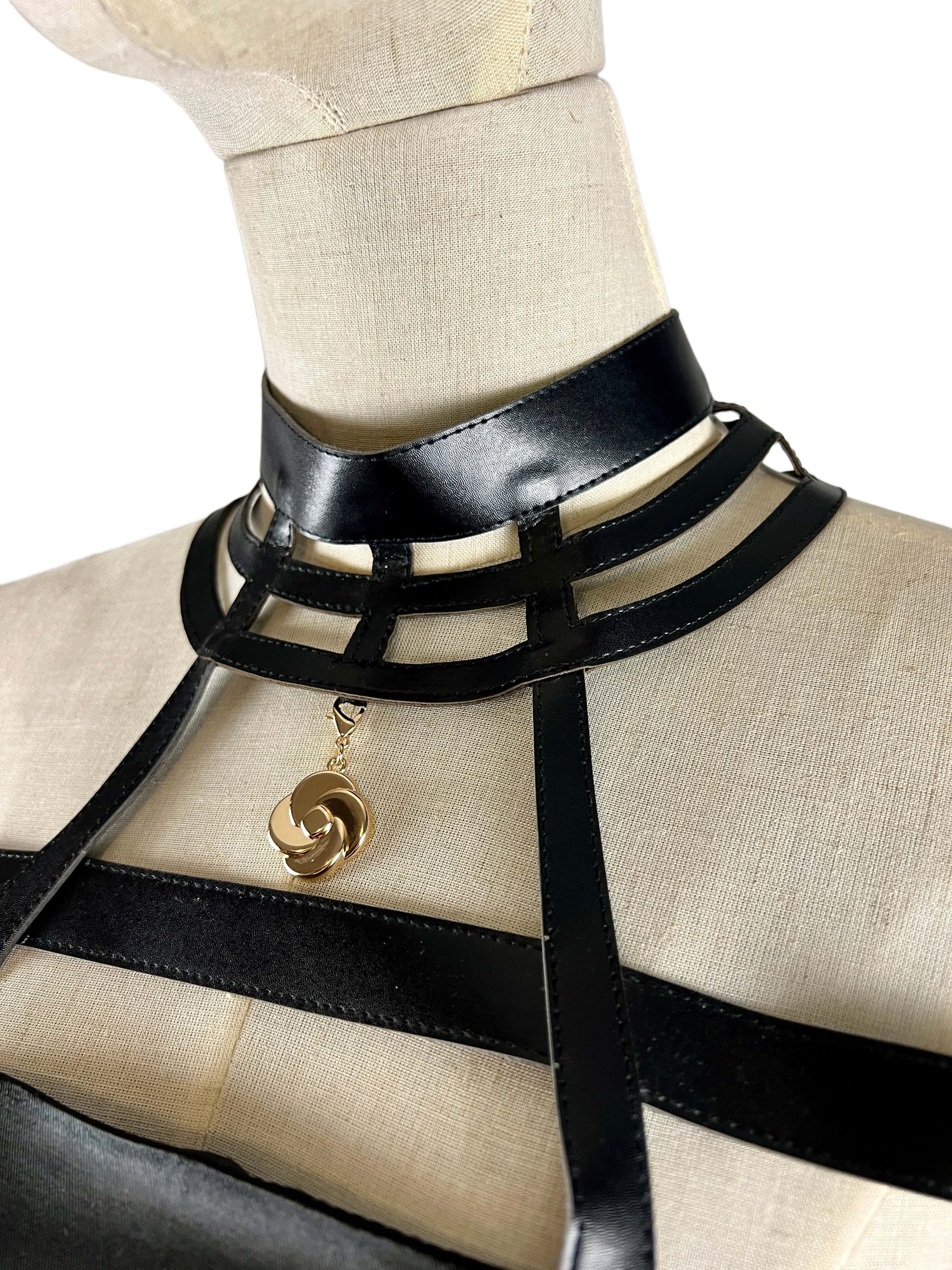 Thorn Princess Assassin Cosplay Costume - Dress Set with Wig & Accessories