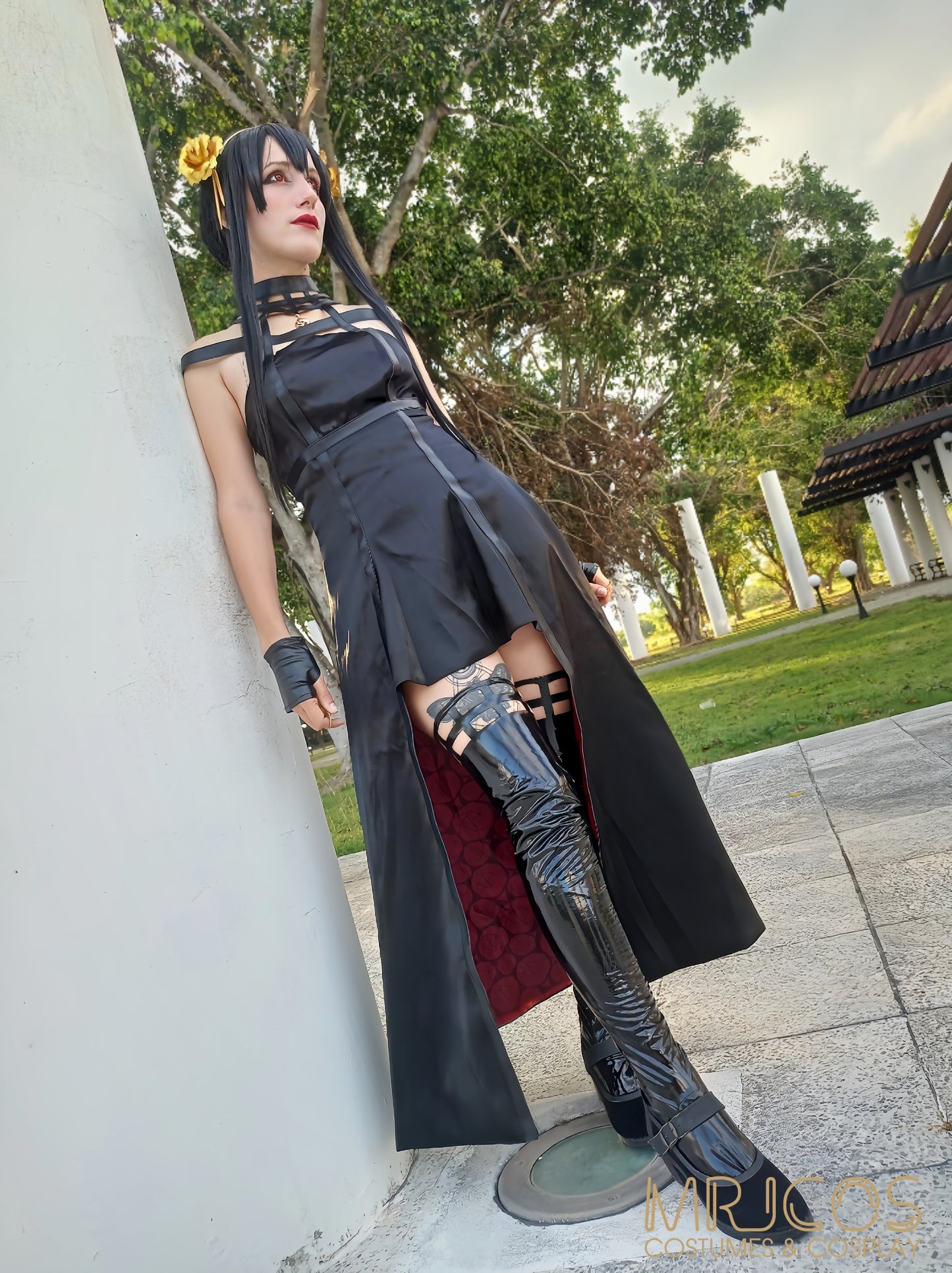 Thorn Princess Assassin Cosplay Costume - Dress Set with Wig & Accessories