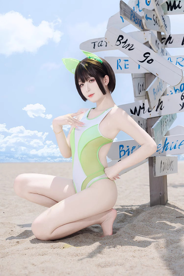 Anime Style One-piece Sexy Racing Swimsuit with Mesh Sheer Dual-color Design