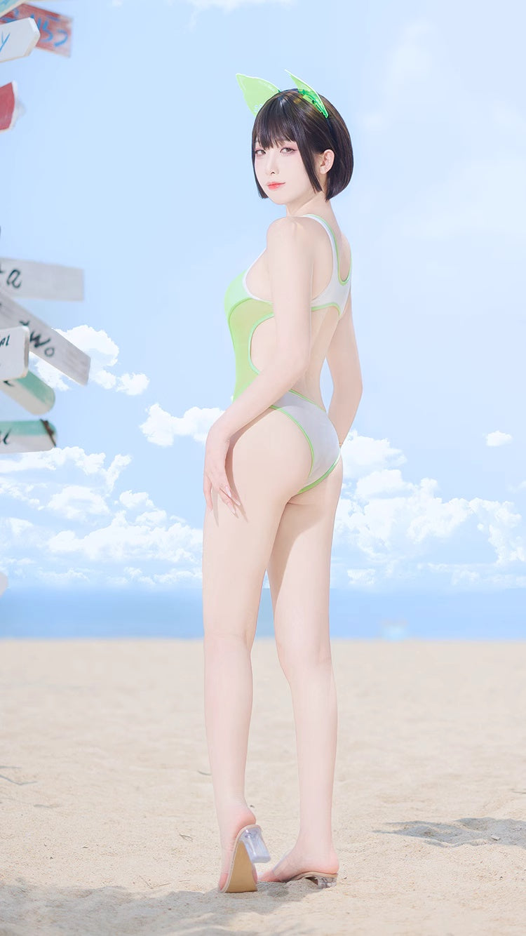 Anime Style One-piece Sexy Racing Swimsuit with Mesh Sheer Dual-color Design