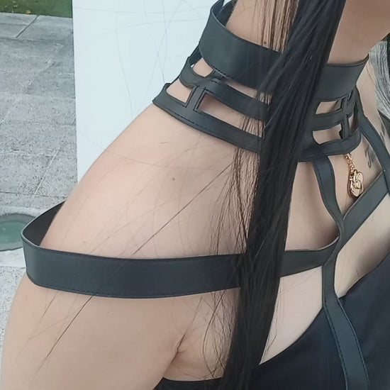 Thorn Princess Assassin Cosplay Costume - Dress Set with Wig & Accessories