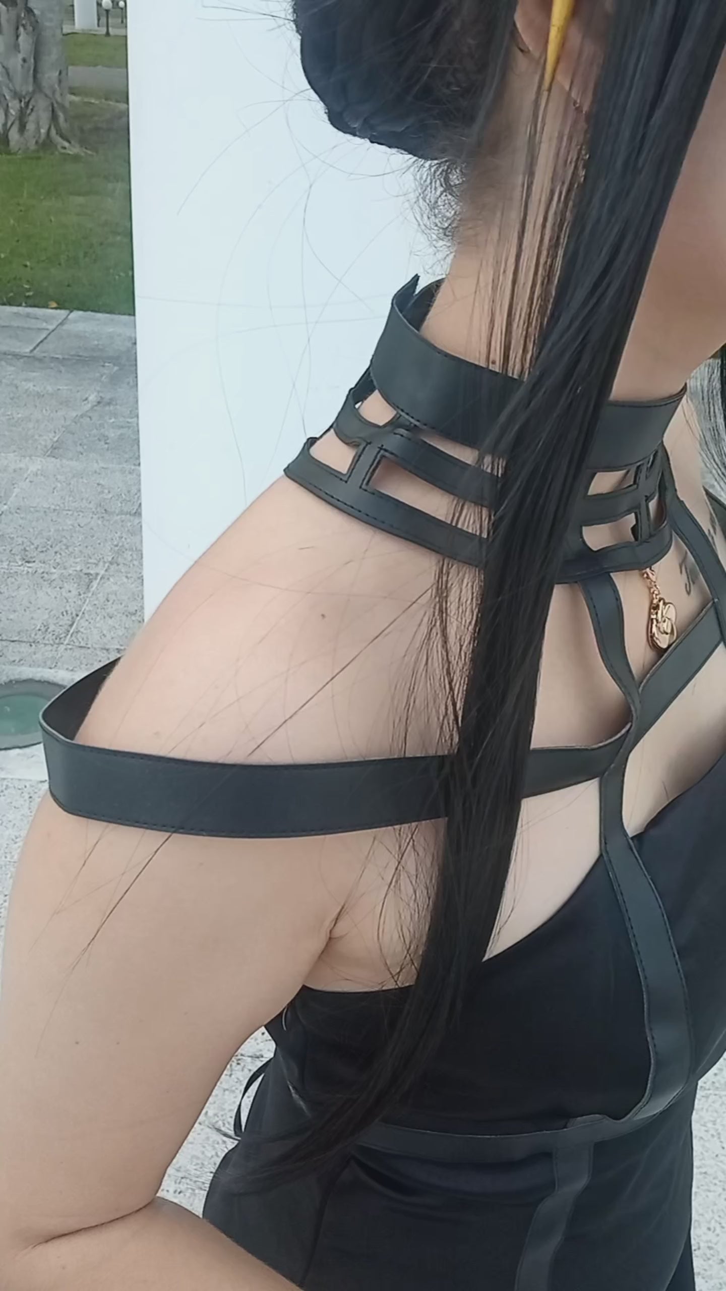 Thorn Princess Assassin Cosplay Costume - Dress Set with Wig & Accessories